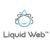 Liquid Web